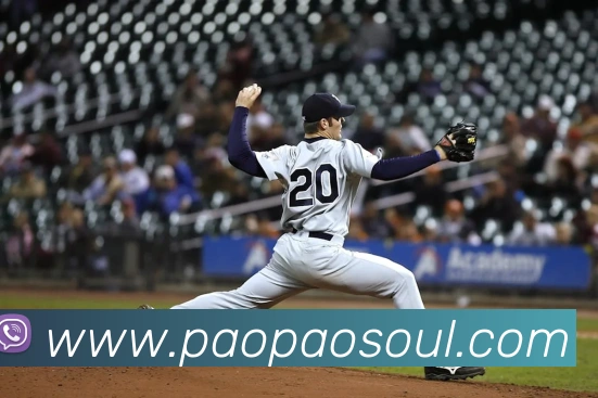 世界杯平台官网登录平台生态图