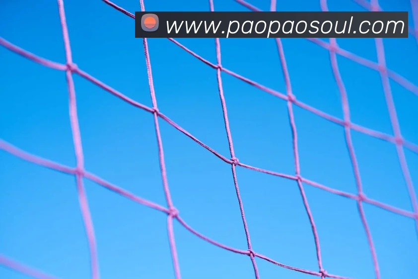 世界杯平台官网登录APP 封面图